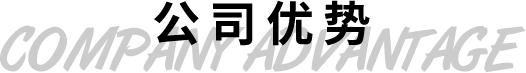公司优势