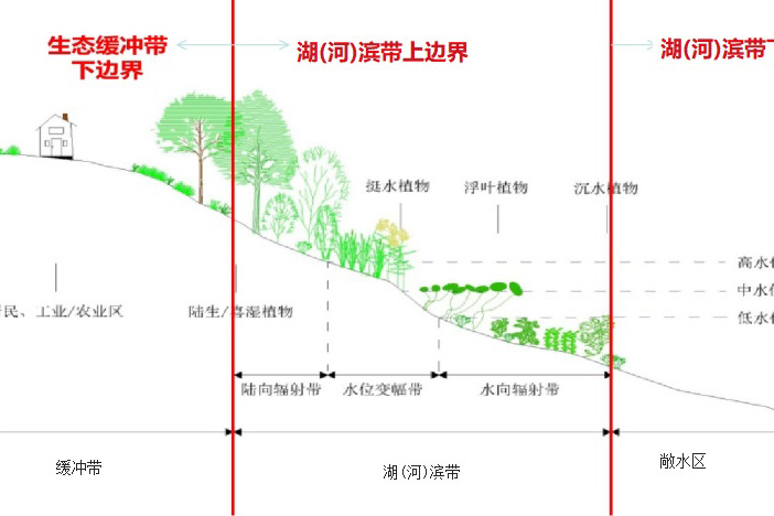 生态缓冲带宽度的划定方法