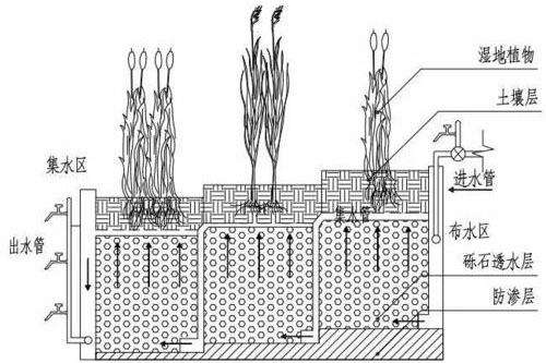 人工湿地的两种构造类型