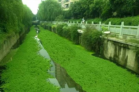 关于治理河道臭水的几个误区